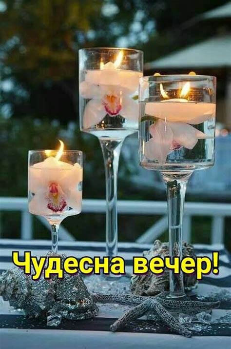 Чудесна вечер - karti4ki.eu