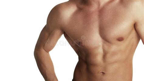 muscular torso  bodybuilder stock photo image  build horizontal