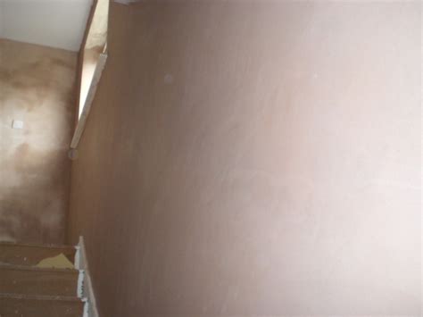 painting freshly plastered walls