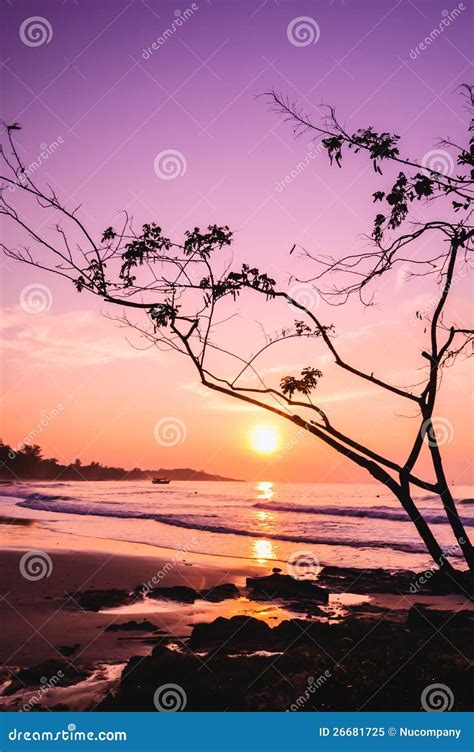 Koh Samet of Thailand stock image. Image of outdoor, summer - 26681725