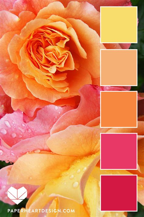 Hot pink color combinations | Dresses Images 2022