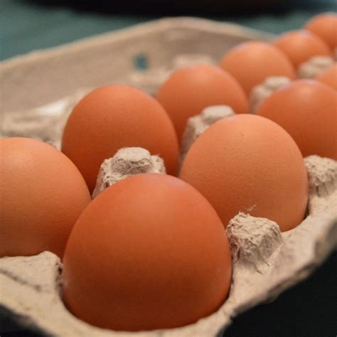 Local Chicken Eggs - Harvest2U