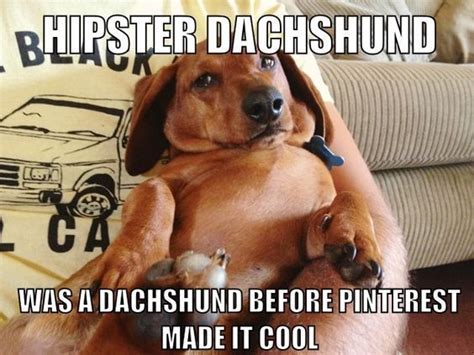 Wiener dog Memes