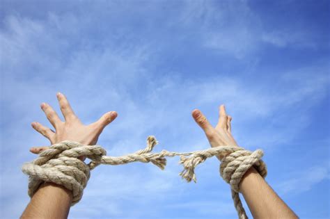 Personal Freedom ---> Global Freedom | The Meditation Effect