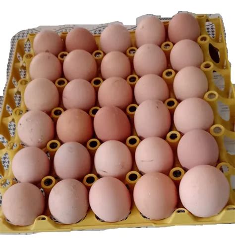 Ovo De Galinha Balão - Ovos De Galinha Balão | Parcelamento sem juros
