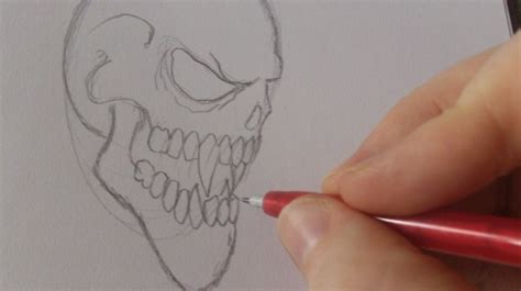 Vampire Skull Drawing at PaintingValley.com | Explore collection of ...