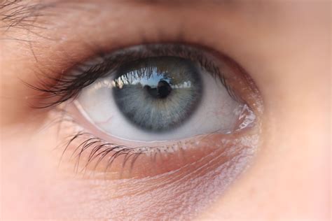 Глаза как зеркало... | Olhos cinzas, Olhos, Rosto