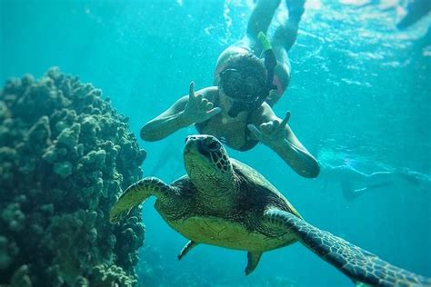 West Maui Half-Day Snorkel Cruise from Ka’anapali Beach 2025