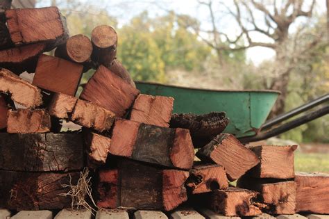 wood madera forest  photo  pixabay pixabay