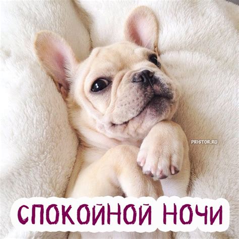 Спокойной ночи картинки красивые - скачать бесплатно, сборка