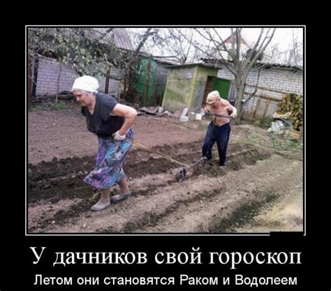 Прикольные картинки про дачу: 50+ фото | Klike.net