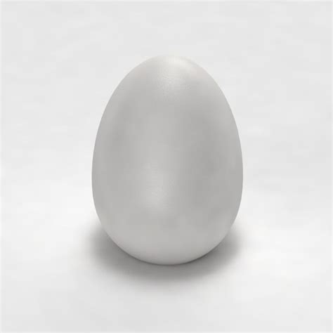 egg model