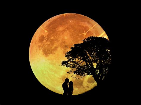 árbol De Pareja Romántico A La Luz De La Luna