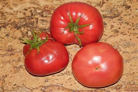 Томат Медовый: отзывы, фото, описание и характеристика сорта.