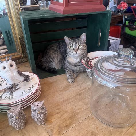 facebook marketplace abilene tx 4