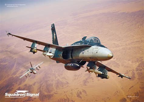 F/A 18 Hornet & Super Hornet in Action | Behance