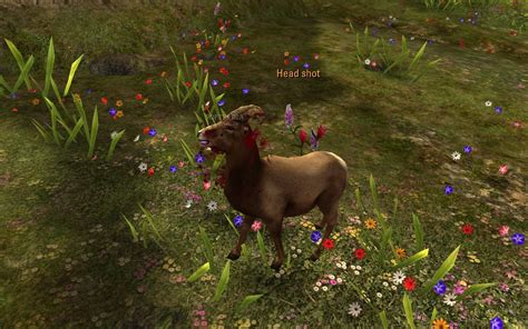 Deer Hunter Download Free (Mac) - 2014 2.0.1 | Softpedia