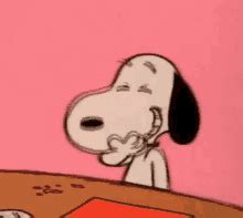 Funny GIFs | Tenor
