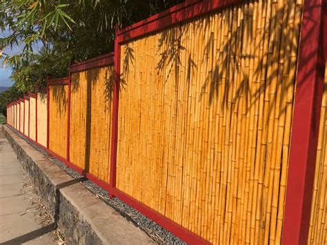 List Of Natural Privacy Fence With New Ideas | Wallpaper HD and Aesthetic