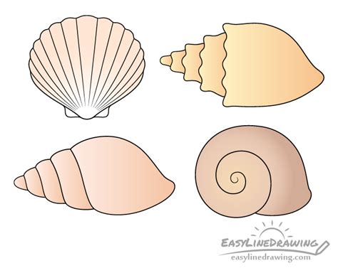 How To Draw A Shell