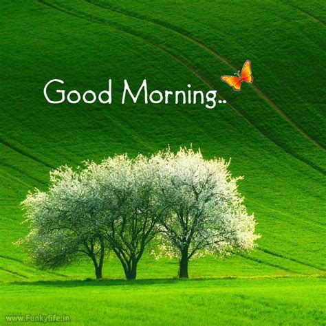 Good Morning With Images ( December 2025) - Harshji