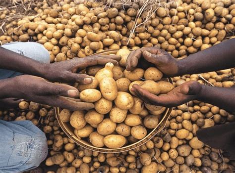 Fortified Against Blindness - Growing Magazine