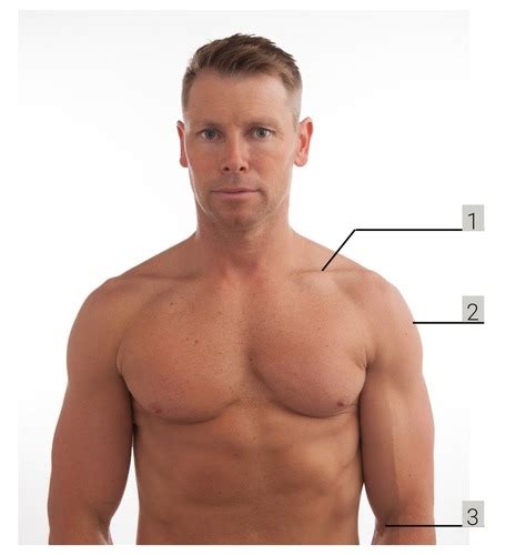 clinically relevent surface anatomy   upper extremity flashcards