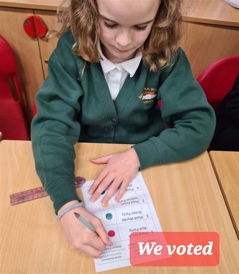 Class 4: Senedd Visit - Madras Primary School