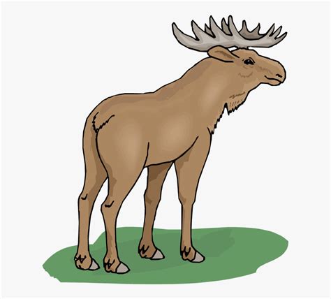 Funny Moose Clipart - Moose Png Clipart , Free Transparent Clipart ...