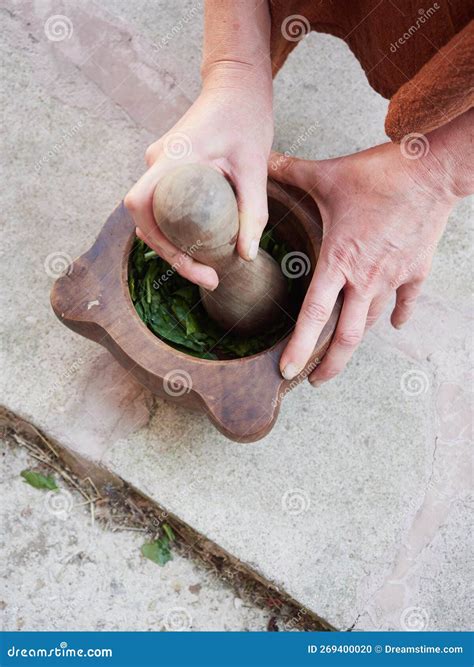 Pestle Pounding Leaves in a Big Wooden Mortar Stock Photo - Image of