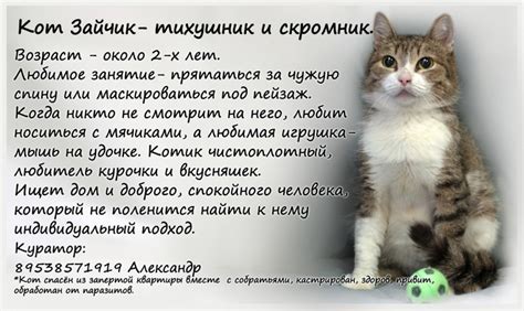Сильвия В Плену Сладострастия - bayercropscience