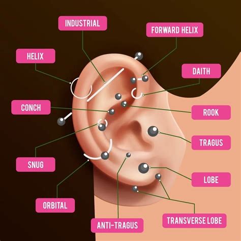 Ear Piercing Parts, Full Ear Piercings, Inner Ear Piercing, Ear ...
