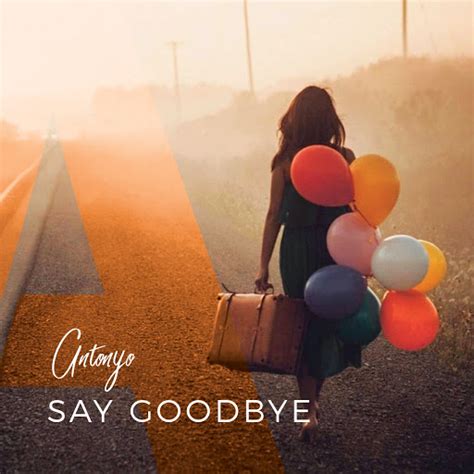 Say Goodbye (Radio Edit) - YouTube Music