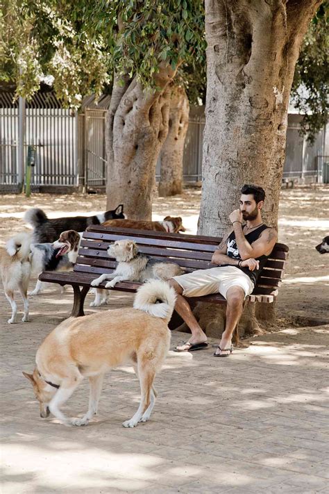 Snapshots of the city Tel Aviv, Israel - OutThere magazine