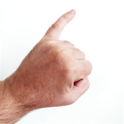 finger alchetron   social encyclopedia