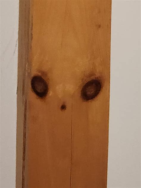 21 Times People Spotted Faces Hidden In Everyday Objects