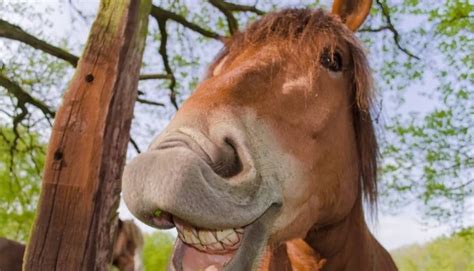tips guaranteed    funny script hilarious