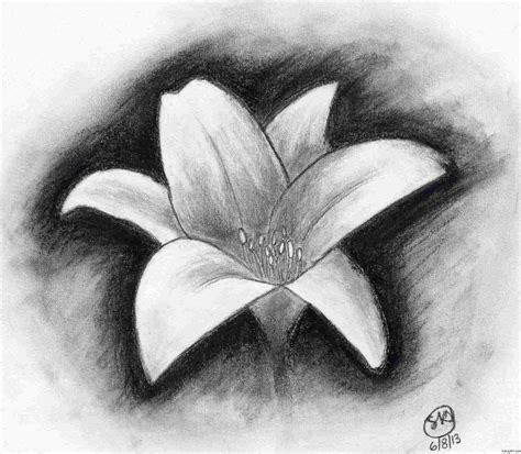 Shaded Flower Drawing at PaintingValley.com | Explore collection of