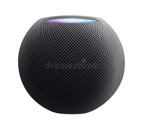 Apple HomePod Mini Black Color, Isolated on White Background, Vector ...