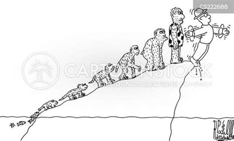 evolution chart cartoons  comics funny pictures  cartoonstock