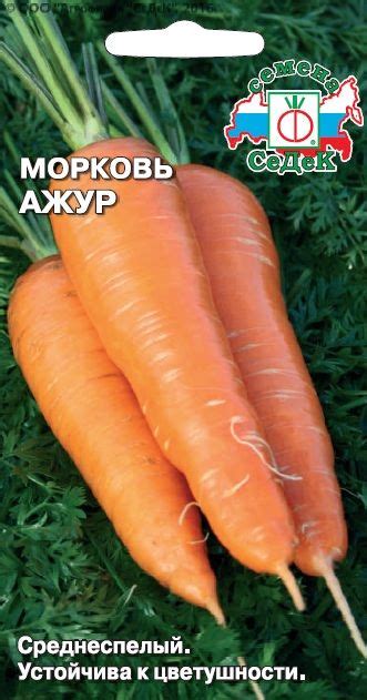 Купить семена с отправкой почтой - СеДеК