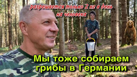 ШТРАФ ДО 5 ТЫС.ЕВРО,ЗА НЕПРАВИЛЬНЫЙ СБОР ГРИБОВ В ГЕРМАНИИ. - YouTube