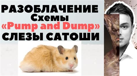 Разоблачение схемы СЛЕЗЫ САТОШИ (Рафаэль Манвелян) - YouTube