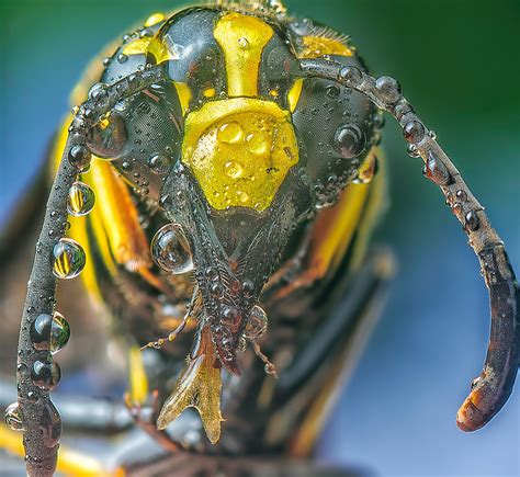 Big Natural Black Tits Photos, Download The BEST Free Big Natural Black