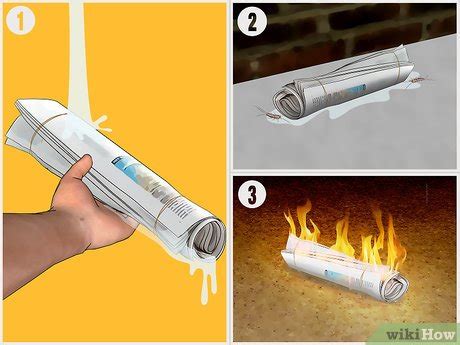 Как избавиться от чешуйниц - wikiHow