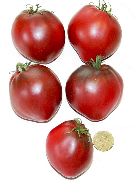 Томат Сердце пурпурное (Dwarf Purple Heart)