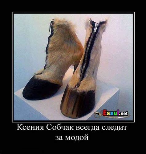 Смешные демотиваторы
