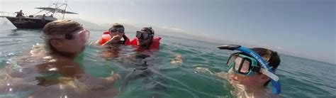 Snorkeling tour: Los Arcos – Vallarta Natours