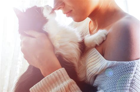 Why does my cat lick me? | Cat People of Melbourne
