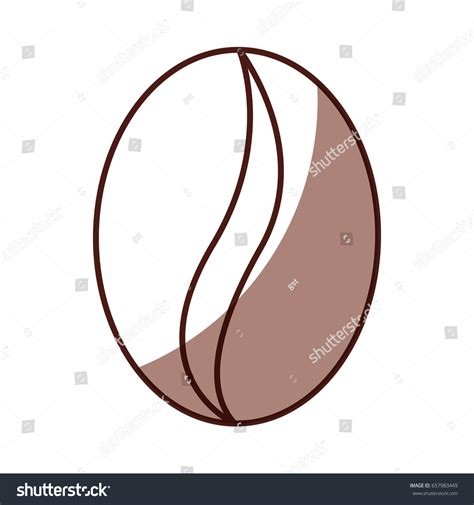 Shadow Coffee Bean Cartoon Stock Vector (Royalty Free) 657983449